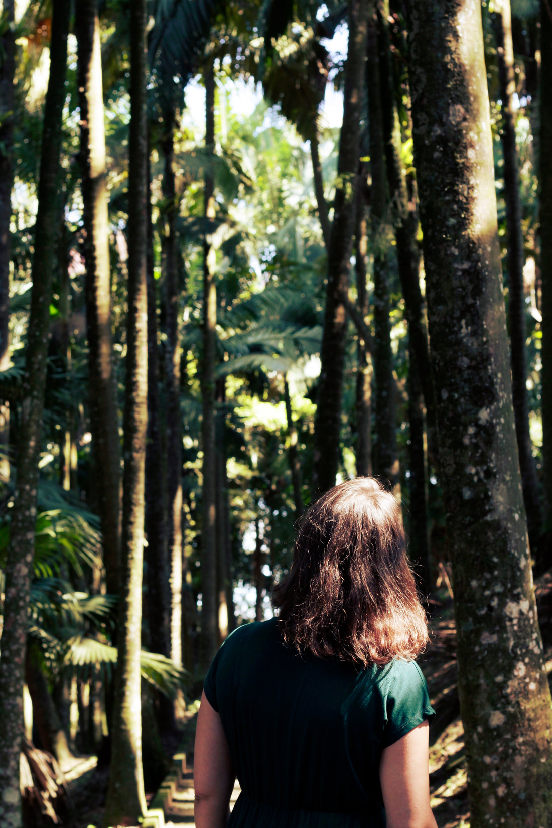 🌿 Hello and welcome!