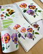 Student Set - Pansies