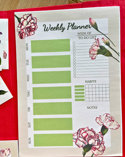 Organization Set - Carnation